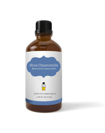 Blue Chamomile