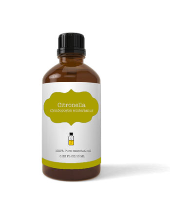 Citronella